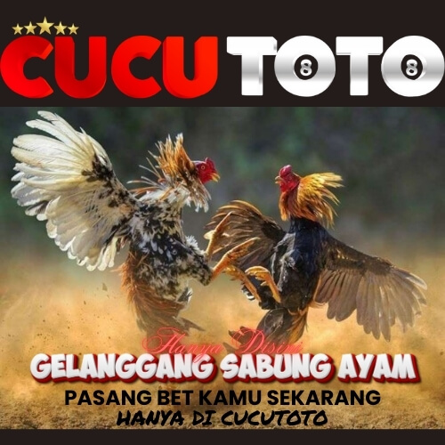 Galeri foto CUCUTOTO - Event Terbaru Gelanggang Sabung Ayam!!! di Yogyakarta